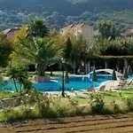 Alkioni